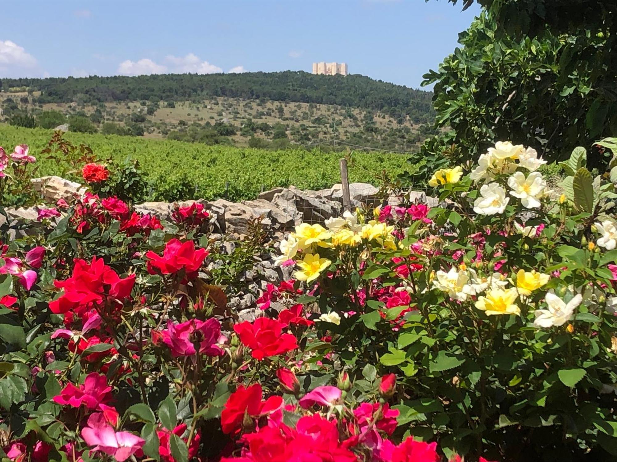 Ai Pilieri Di Bagnoli Villa Castel Del Monte  Kültér fotó