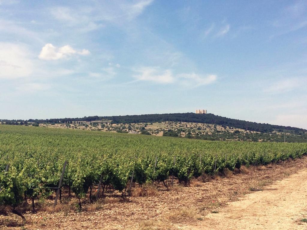 Ai Pilieri Di Bagnoli Villa Castel Del Monte  Kültér fotó